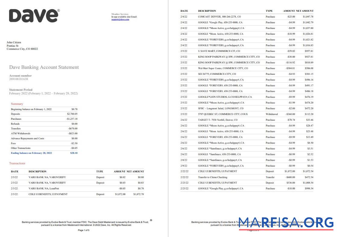 Realistic USA Dave bank account statement word 5 pages download for verification